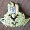 QW14 - Emblema militara / cuc - aviatie - piesa de colectie