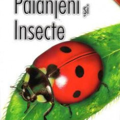 Enciclopedie: Paianjeni si insecte