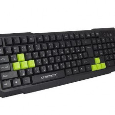 Tastatura Gaming Esperanza Aspis EGK102G, USB (Negru/Verde)