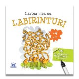 Cartea mea cu labirinturi (+ 4 ani) -&nbsp; 46 de labirinturi refolosibile + o carioca