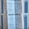 ROMANIA LOT SAPTE (7) ACTIUNI 1996,,MAREA CUPONIADA&quot;/BIJUTERIA BUC.,ALRO SLATINA