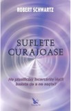 Suflete curajoase. Ne planificam incercarile vietii inainte de a ne naste? - Editura ForYou