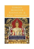 Cumpara ieftin Bucuria de a trai, Curtea Veche