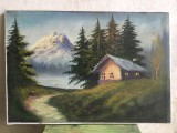 Tablou / Pictura in ulei pe panza peisaj montan rustic cu cabana , padure , munte si lac !