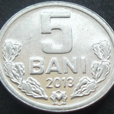 Moneda 5 BANI - Republica MOLDOVA, anul 2013 *cod 1714 A