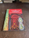 Ghid Istanbul: Yerebatan Cistern &amp; Cisterne (Engleza, 48pg) - Harta Inclusa