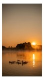 Tablou Canvas, "Răsărit liniștit peste lac cu rațe", Apus, Rațuște, Apă, Siluetă, Copaci, Cețoasă, Reflexie, Cer, Aurit, Liniște, 26 x 39 cm, CMCLASS