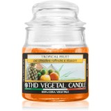 THD Italian Luxury Tropical Fruit lum&acirc;nare parfumată 100 g