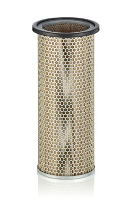 MANN-FILTER C 17 149 Filtru aer secundar foto