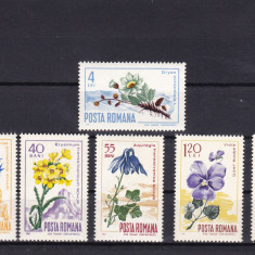 ROMANIA 1967 LP 649 FLORA CARPATINA SERIE MNH