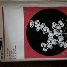 Introducere in biologia moleculara G.H.Haggis 1968 cartonata