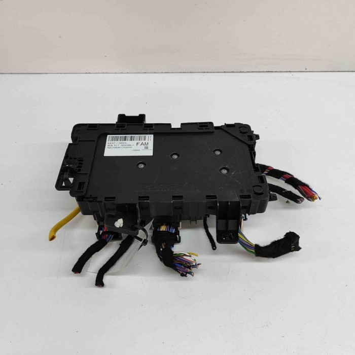 Modul panou de siguranțe FORD TRANSIT CUSTOM 2023 OEM: KK3T-15604-FAM,A2C766861200000
