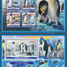 DB1 Fauna Arctica Burkina Faso Pasari Pinguini MS + SS MNH
