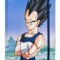 Dragon Ball Z: Vegeta Softcover Notebook