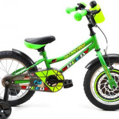 Bicicleta Copii DHS 1601, Cadru 7.9inch (Verde)