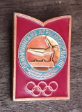 QW9 - N7 3 - Insigna sport - JO Moscova 1980 - gimnastica - cal cu manere, Europa