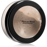 Pierre Ren&eacute; Professional Natural Glow pudra pentru stralucire culoare Natural 10 g