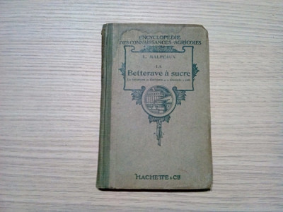LA BETTERAVE A SUCRE - L. Malpeaux - Librairie Hachette, 1919, 128 p. foto