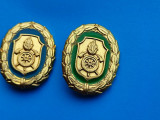 Lot 2 Insigne Pompieri -verde si albastru-Oferta, Europa