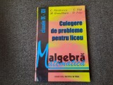 CULEGERE DE PROBLEME PENTRU LICEU CLASELE IX-XII C NASTASESCU 1997