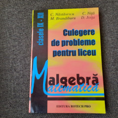 CULEGERE DE PROBLEME PENTRU LICEU CLASELE IX-XII C NASTASESCU 1997