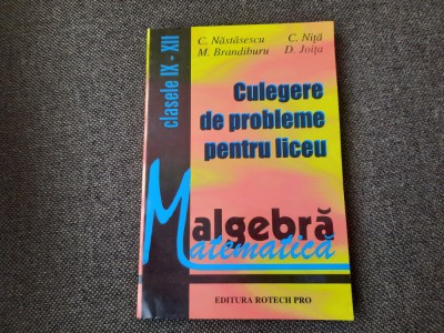CULEGERE DE PROBLEME PENTRU LICEU CLASELE IX-XII C NASTASESCU 1997 foto