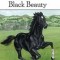Anna Sewell's Black Beauty