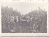 Bnk foto Elevi la practica agricola - Chitorani 1975, Alb-Negru, Romania de la 1950, Portrete