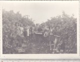 bnk foto Elevi la practica agricola - Chitorani 1975