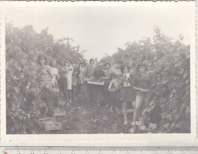 bnk foto Elevi la practica agricola - Chitorani 1975 foto
