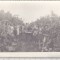 bnk foto Elevi la practica agricola - Chitorani 1975