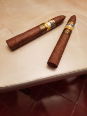 trabucuri COHIBA maduro no 5. foto