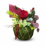 Aranjament muschi, trandafir criogenat si plante naturale stabilizate