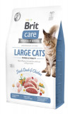 BRIT CARE CAT GRAIN FREE GRAIN FREE LARGE POWER 2KG