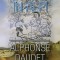 Alphonse Daudet - Tartarin &icirc;n Alpi