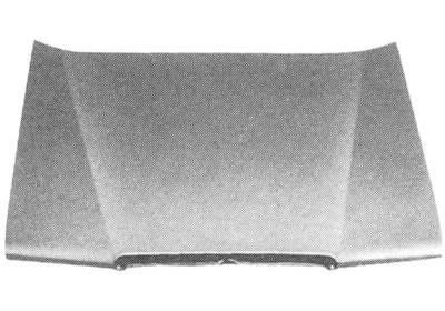 Capota motor Mercedes W123 (Sedan Coupe Combi) 01.75-12.1985 Fata 1238800357 foto