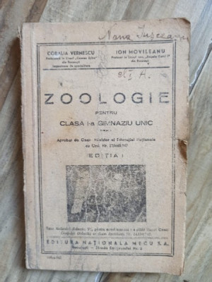 Coralia Vernescu, Ion Movileanu - Zoologie (Manual pentru clasa I-a gimnaziu) foto