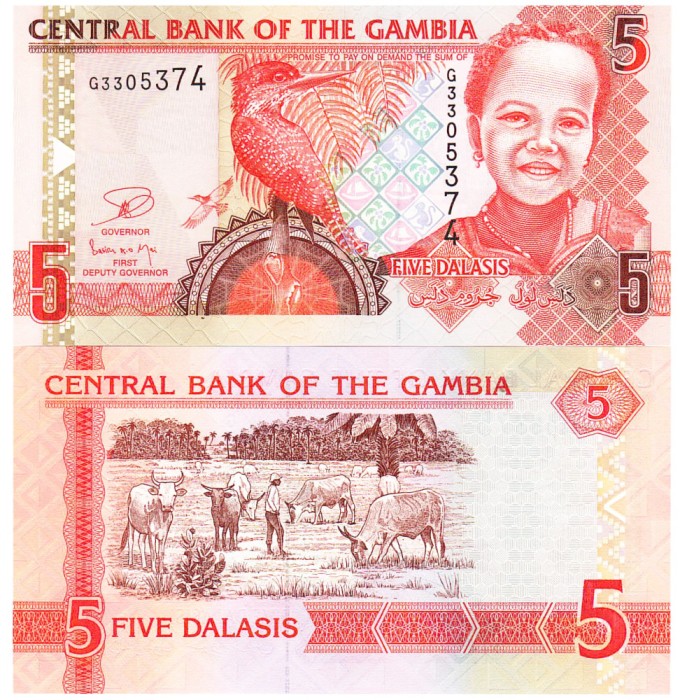 Gambia 5 Dalasis 2013 P-25c UNC