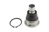 Rotula brat suspensie Nissan Qashqai 2006-, X-Trail 2007-, Murano 2003-, Quest 2003-, Renault Koleos 2008-, Fata, Inferior, NTY ZSD-NS-034