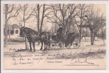 Carte postala circulata in anul 1903 Bucuresti