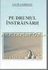Pe Drumul Instrainarii - Lucica Gherasa - Roman 2011, 451 pagini