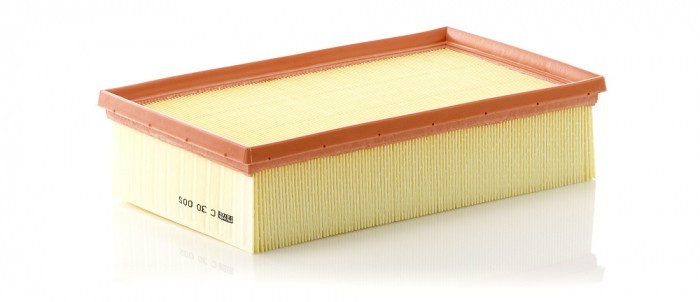 Filtru aer Mann-Filter C30005