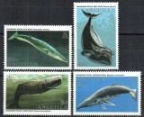 Anguilla 1995 - Fauna marina, balene, serie neuzata