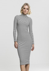 Ladies Striped Turtleneck Dress foto