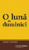 John Updike - O lună de duminici