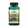Radacina de Butea Superba 400mg 60cps Swanson, Swanson Health Products