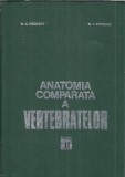 Curs de anatomia comparata a vertebratelor (volumul 2)