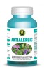 ANTIALERGIC 60cps HYPERICUM, HYPERICUM IMPEX