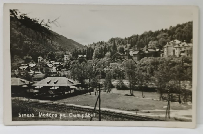 SINAIA , VEDERE PE CUMPATUL , FOTOGRAFIE , FORMAT CARTE POSTALA , INTERBELICA