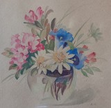 Flori alpine floare de colt, clopotei